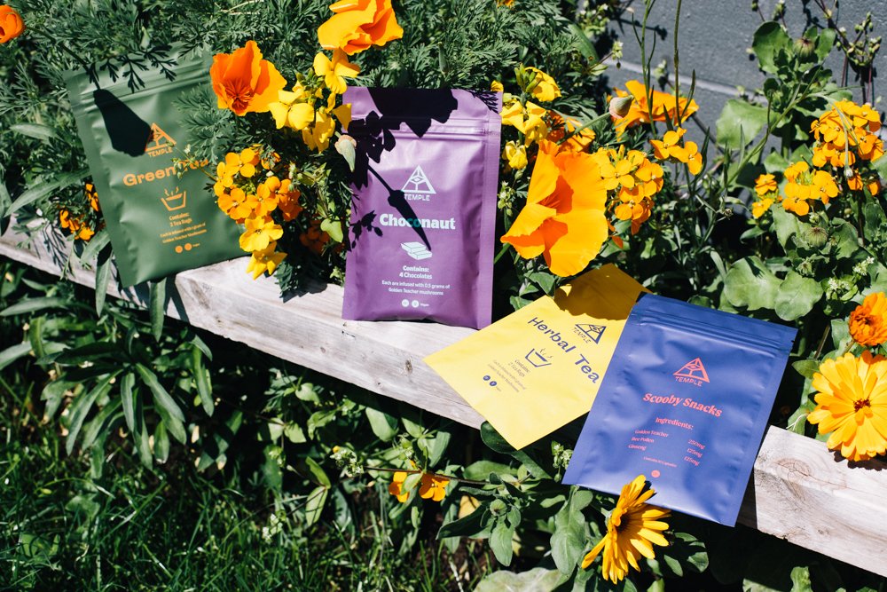 Temple Teleport Sample Pack (20 Pieces of Magic Mushroom Tea + Chocolate ChocoNaut + Scooby Snacks) - Image 3