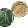 Buy San Pedro Powder Online